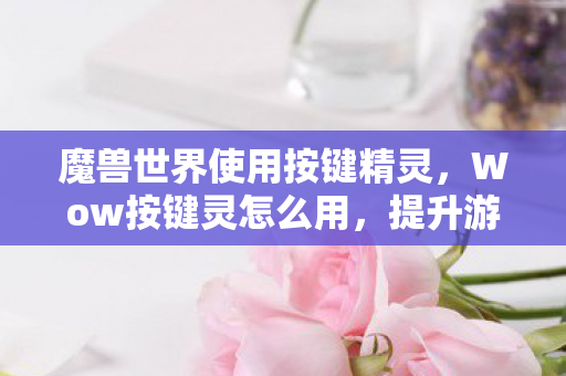 魔兽世界使用按键精灵,Wow按键灵怎么用,提升游戏操作效率的小技巧 魔兽世界使用按键精灵,Wow按键灵怎么用,提升游戏操作效率的小技巧