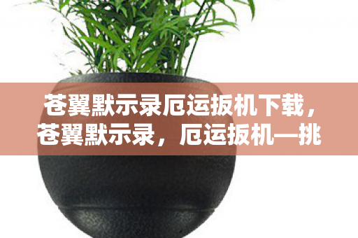 苍翼默示录厄运扳机下载，苍翼默示录，厄运扳机—挑战与机遇的交织