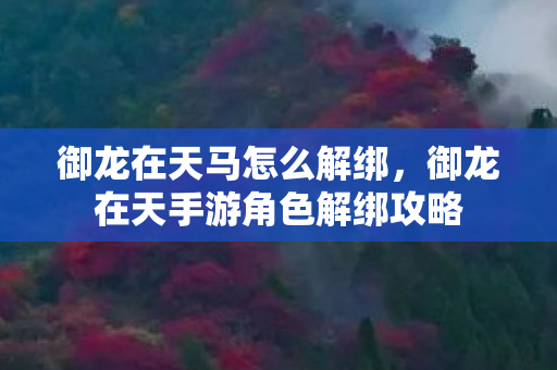御龙在天马怎么解绑,御龙在天手游角色解绑攻略 御龙在天马怎么解绑,御龙在天手游角色解绑攻略
