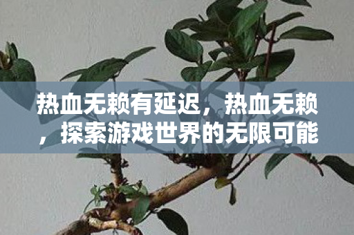 热血无赖有延迟,热血无赖,探索游戏世界的无限可能 热血无赖有延迟,热血无赖,探索游戏世界的无限可能