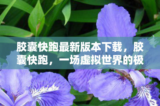 胶囊快跑最新版本下载，胶囊快跑，一场虚拟世界的极速冒险