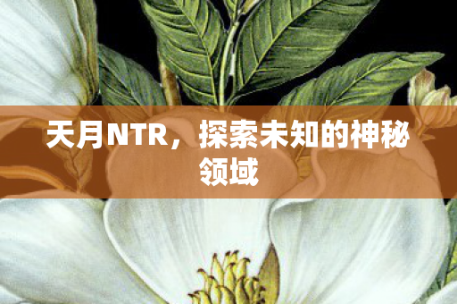 天月NTR,探索未知的神秘领域 天月NTR,探索未知的神秘领域