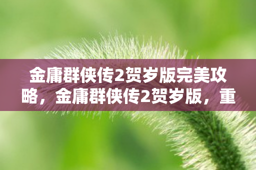 金庸群侠传2贺岁版完美攻略,金庸群侠传2贺岁版,重温经典,迎接新春 金庸群侠传2贺岁版完美攻略,金庸群侠传2贺岁版,重温经典,迎接新春