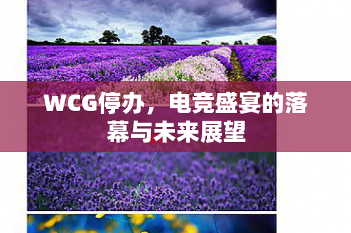 WCG停办,电竞盛宴的落幕与未来展望 WCG停办,电竞盛宴的落幕与未来展望
