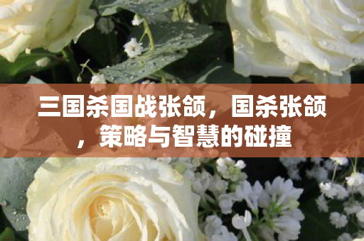 三国杀国战张颌，国杀张颌，策略与智慧的碰撞