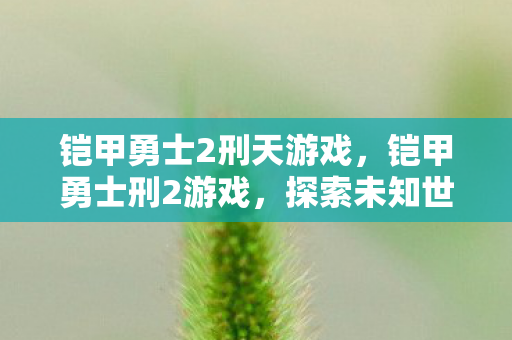 铠甲勇士2刑天游戏,铠甲勇士刑2游戏,探索未知世界的冒险之旅 铠甲勇士2刑天游戏,铠甲勇士刑2游戏,探索未知世界的冒险之旅