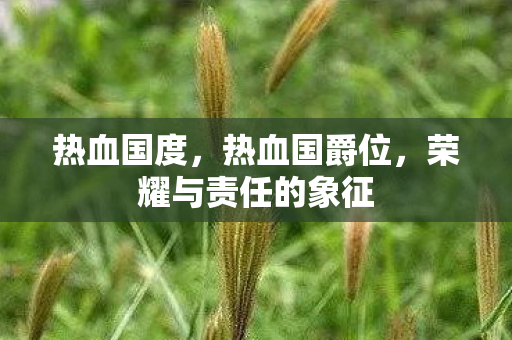 热血国度,热血国爵位,荣耀与责任的象征 热血国度,热血国爵位,荣耀与责任的象征