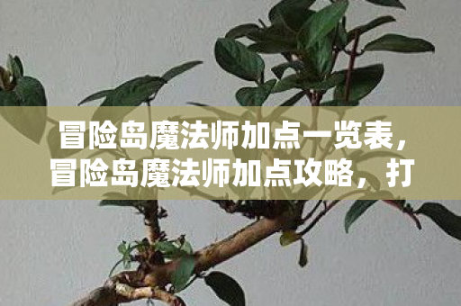 冒险岛魔法师加点一览表,冒险岛魔法师加点攻略,打造高效战斗法师 冒险岛魔法师加点一览表,冒险岛魔法师加点攻略,打造高效战斗法师