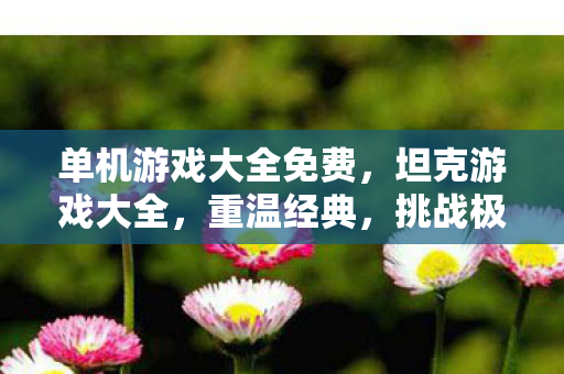 单机游戏大全免费，坦克游戏大全，重温经典，挑战极限