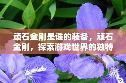 顽石金刚是谁的装备,顽石金刚,探索游戏世界的独特魅力 顽石金刚是谁的装备,顽石金刚,探索游戏世界的独特魅力