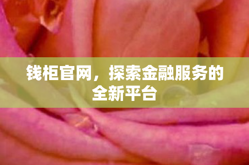 钱柜官网,探索金融服务的全新平台 钱柜官网,探索金融服务的全新平台
