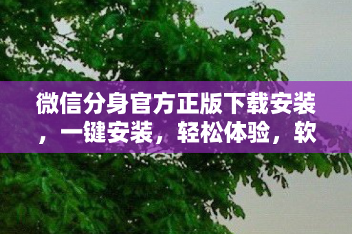 微信分身官方正版下载安装，一键安装，轻松体验，软件正版化版下载安装指南