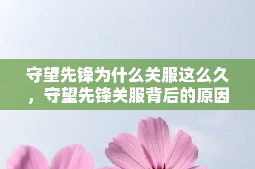 守望先锋为什么关服这么久，守望先锋关服背后的原因