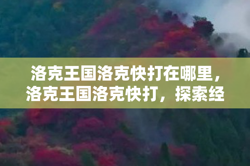 洛克王国洛克快打在哪里，洛克王国洛克快打，探索经典游戏的魅力与乐趣