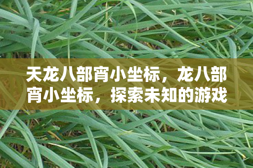 天龙八部宵小坐标,龙八部宵小坐标,探索未知的游戏世界 天龙八部宵小坐标,龙八部宵小坐标,探索未知的游戏世界