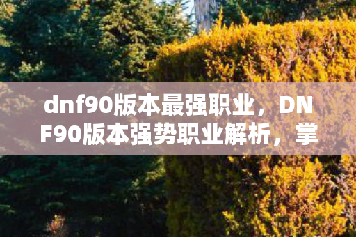 dnf90版本最强职业,DNF90版本强势职业解析,掌握战斗节奏,打造不败神话 dnf90版本最强职业,DNF90版本强势职业解析,掌握战斗节奏,打造不败神话