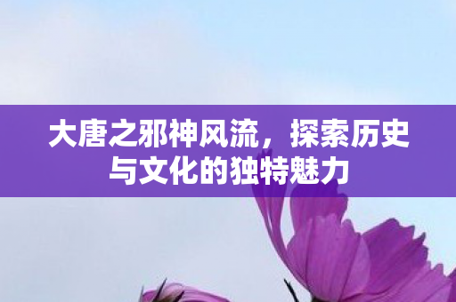 大唐之邪神风流,探索历史与文化的独特魅力 大唐之邪神风流,探索历史与文化的独特魅力