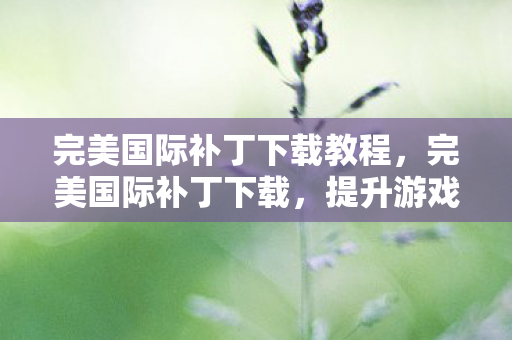 完美国际补丁下载教程,完美国际补丁下载,提升游戏体验的必备工具 完美国际补丁下载教程,完美国际补丁下载,提升游戏体验的必备工具