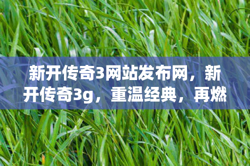 新开传奇3网站发布网,新开传奇3g,重温经典,再燃激情 新开传奇3网站发布网,新开传奇3g,重温经典,再燃激情