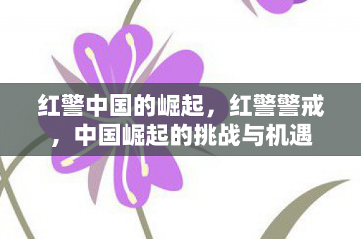红警中国的崛起,红警警戒,中国崛起的挑战与机遇 红警中国的崛起,红警警戒,中国崛起的挑战与机遇