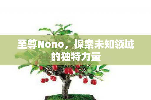 至尊Nono,探索未知领域的独特力量 至尊Nono,探索未知领域的独特力量