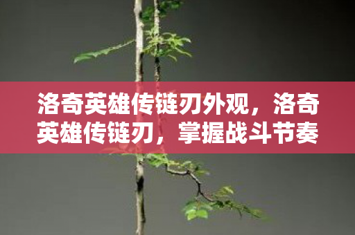 洛奇英雄传链刃外观,洛奇英雄传链刃,掌握战斗节奏的致命武器 洛奇英雄传链刃外观,洛奇英雄传链刃,掌握战斗节奏的致命武器