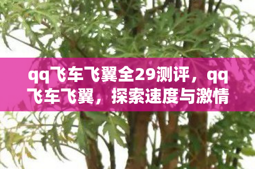 qq飞车飞翼全29测评,qq飞车飞翼,探索速度与激情的极限 qq飞车飞翼全29测评,qq飞车飞翼,探索速度与激情的极限