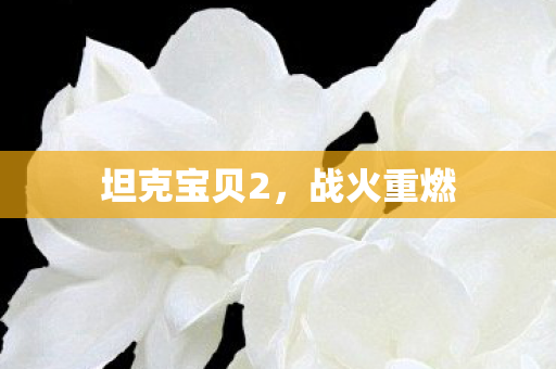 坦克宝贝2,战火重燃 坦克宝贝2,战火重燃