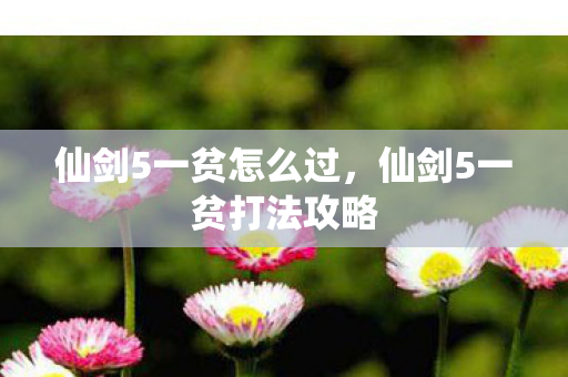 仙剑5一贫怎么过，仙剑5一贫打法攻略