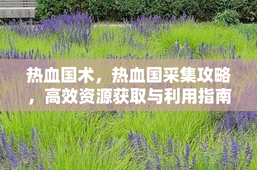 热血国术,热血国采集攻略,高效资源获取与利用指南 热血国术,热血国采集攻略,高效资源获取与利用指南