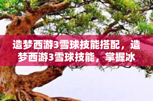 造梦西游3雪球技能搭配,造梦西游3雪球技能,掌握冰雪之力,驰骋西游世界 造梦西游3雪球技能搭配,造梦西游3雪球技能,掌握冰雪之力,驰骋西游世界