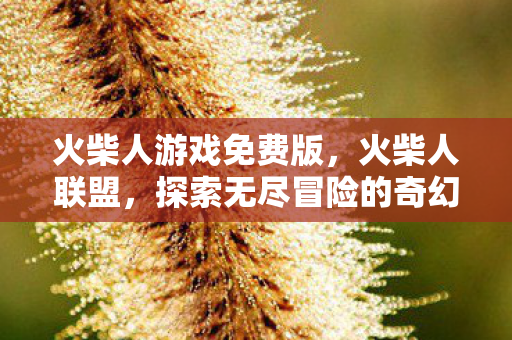 火柴人游戏免费版,火柴人联盟,探索无尽冒险的奇幻之旅 火柴人游戏免费版,火柴人联盟,探索无尽冒险的奇幻之旅