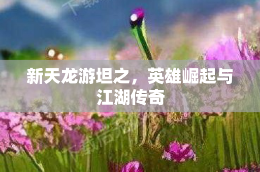 新天龙游坦之,英雄崛起与江湖传奇 新天龙游坦之,英雄崛起与江湖传奇