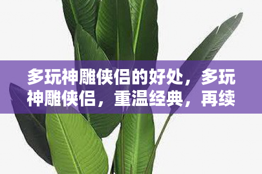 多玩神雕侠侣的好处,多玩神雕侠侣,重温经典,再续江湖情缘 多玩神雕侠侣的好处,多玩神雕侠侣,重温经典,再续江湖情缘
