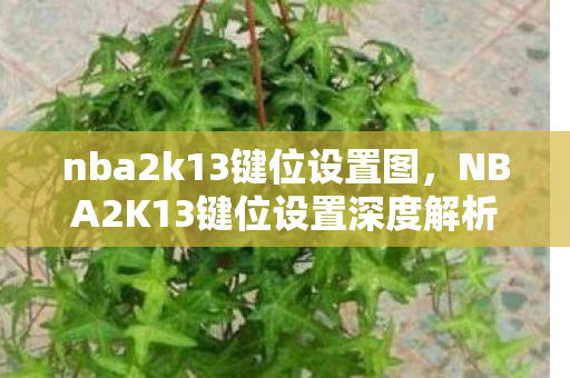 nba2k13键位设置图,NBA2K13键位设置深度解析 nba2k13键位设置图,NBA2K13键位设置深度解析