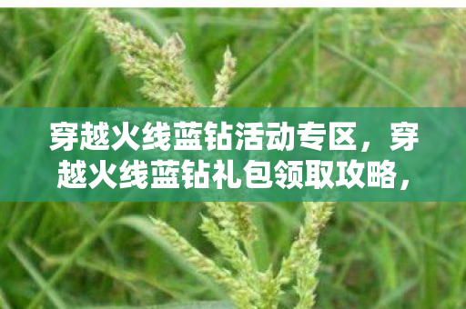 穿越火线蓝钻活动专区,穿越火线蓝钻礼包领取攻略,轻松获取丰厚奖励 穿越火线蓝钻活动专区,穿越火线蓝钻礼包领取攻略,轻松获取丰厚奖励