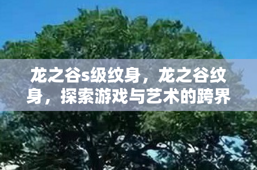 龙之谷s级纹身,龙之谷纹身,探索游戏与艺术的跨界融合 龙之谷s级纹身,龙之谷纹身,探索游戏与艺术的跨界融合