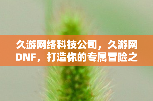 久游网络科技公司,久游网DNF,打造你的专属冒险之旅 久游网络科技公司,久游网DNF,打造你的专属冒险之旅