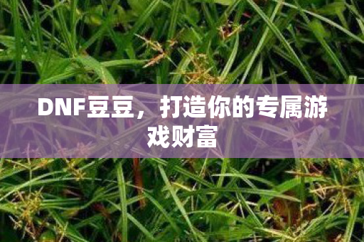 DNF豆豆，打造你的专属游戏财富