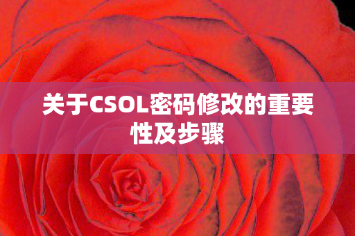 关于CSOL密码修改的重要性及步骤 关于CSOL密码修改的重要性及步骤