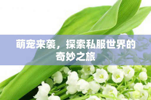 萌宠来袭,探索私服世界的奇妙之旅 萌宠来袭,探索私服世界的奇妙之旅