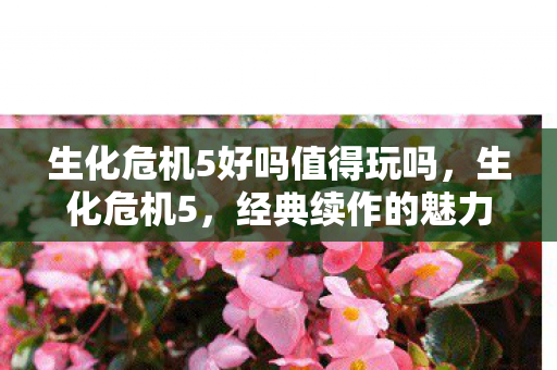 生化危机5好吗值得玩吗，生化危机5，经典续作的魅力与挑战