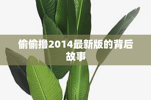 偷偷撸2014最新版的背后故事 偷偷撸2014最新版的背后故事