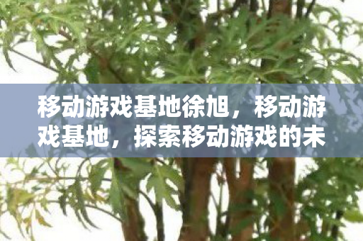 移动游戏基地徐旭，移动游戏基地，探索移动游戏的未来趋势与无限可能