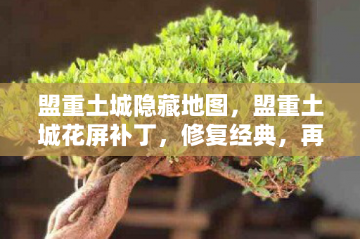 盟重土城隐藏地图,盟重土城花屏补丁,修复经典,再现辉煌 盟重土城隐藏地图,盟重土城花屏补丁,修复经典,再现辉煌