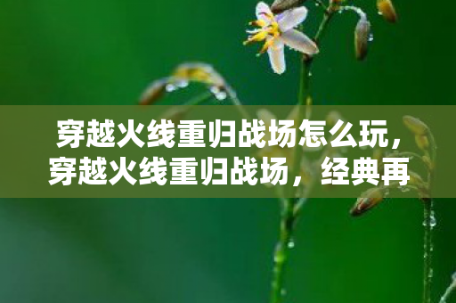 穿越火线重归战场怎么玩，穿越火线重归战场，经典再现，激情燃烧的岁月