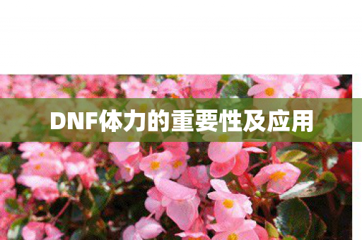 DNF体力的重要性及应用