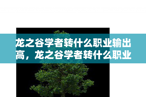 龙之谷学者转什么职业输出高,龙之谷学者转什么职业好 龙之谷学者转什么职业输出高,龙之谷学者转什么职业好