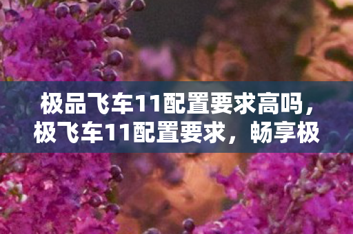 极品飞车11配置要求高吗,极飞车11配置要求,畅享极速,你需要这些硬件支持 极品飞车11配置要求高吗,极飞车11配置要求,畅享极速,你需要这些硬件支持