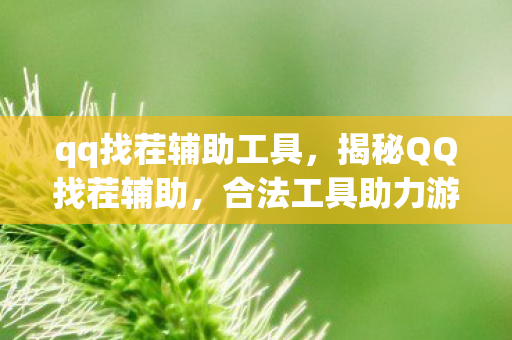 qq找茬辅助工具,揭秘QQ找茬辅助,合法工具助力游戏升级 qq找茬辅助工具,揭秘QQ找茬辅助,合法工具助力游戏升级